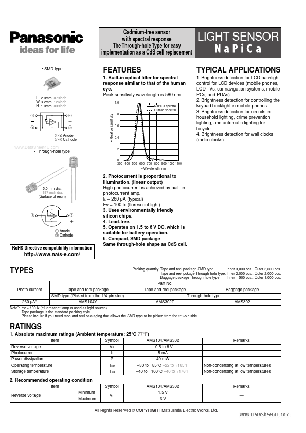 AMS104Y