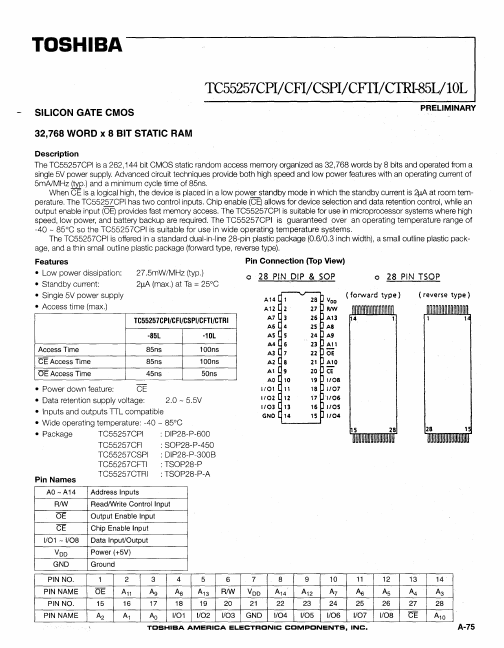 TC55257CPI-10L