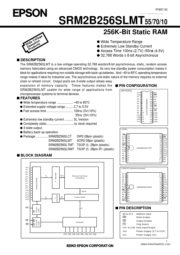 SRM2B256SLMT