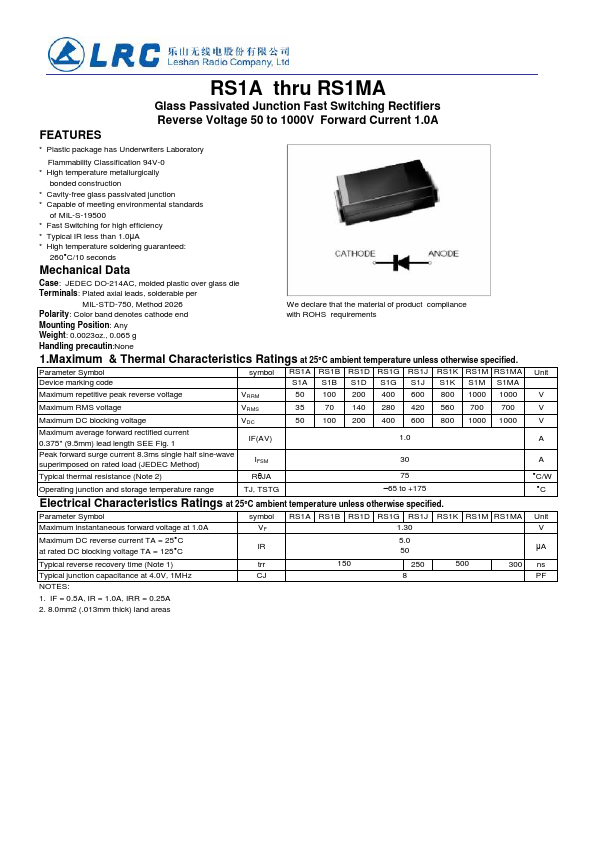 RS1J