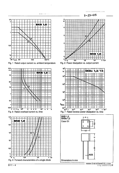 SKB106