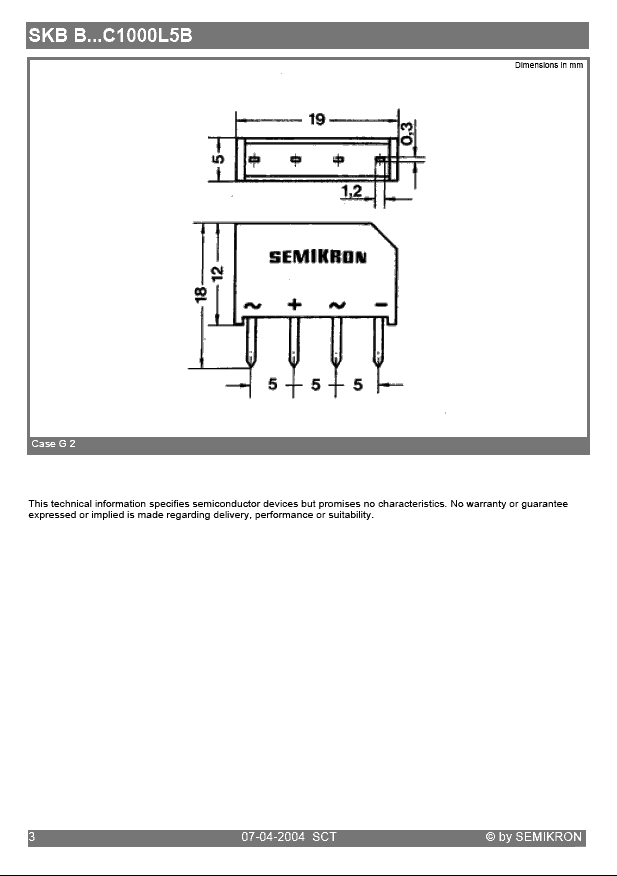 SKBB40C1000L5B