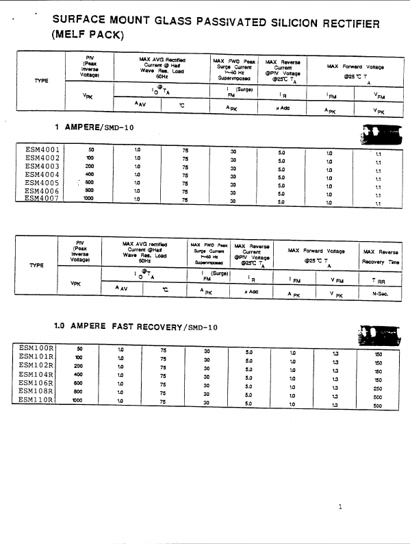 ESM4001