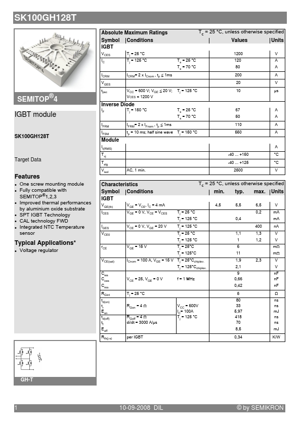 SK100GH128T