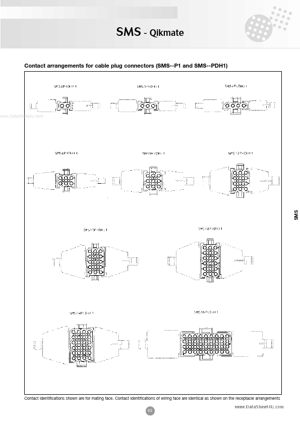 SMS4P1