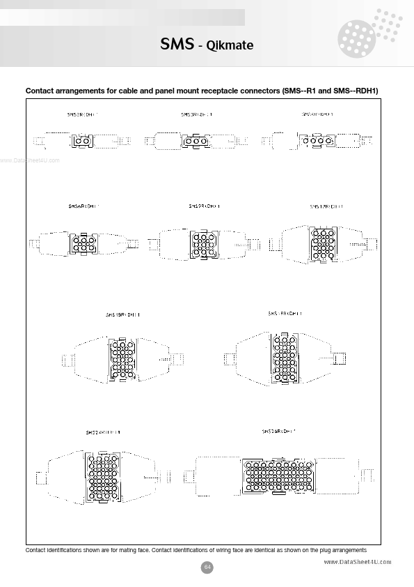 SMS4P1