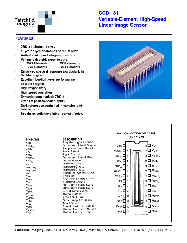 CCD181