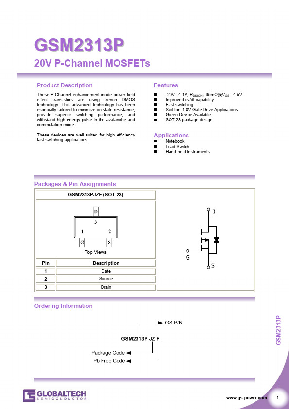 GSM2313P