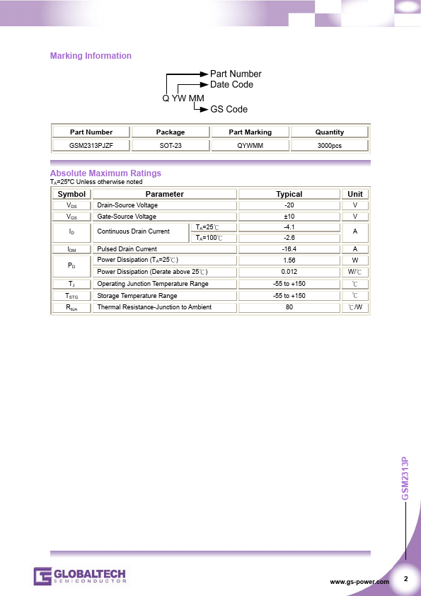 GSM2313P