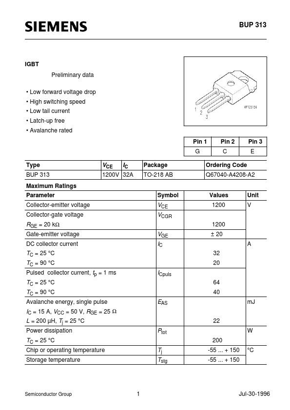 BUP313