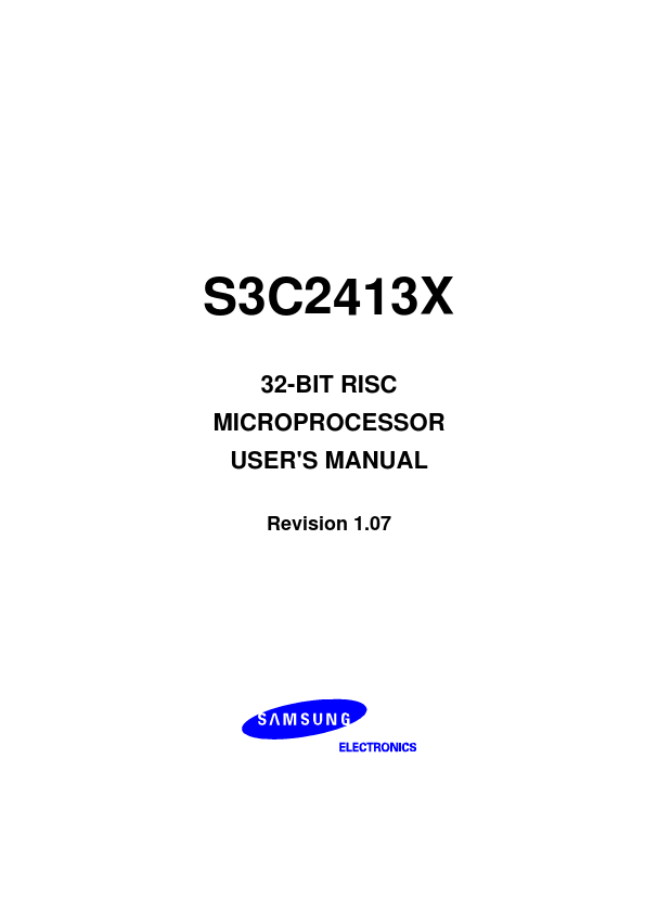 S3C2413X