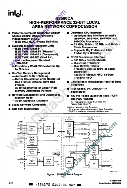 KU82596CA