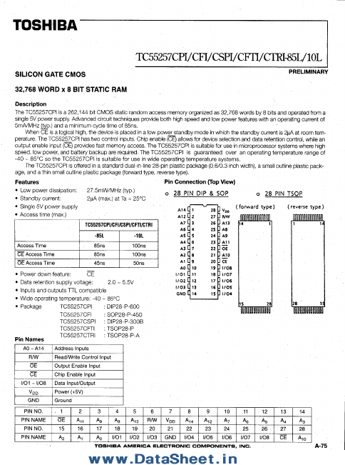 TC55257CPI