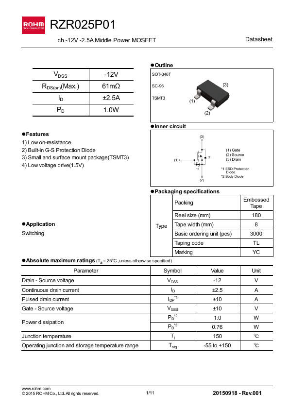 RZR025P01