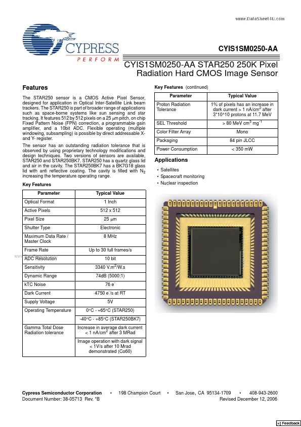 CYIS1SM0250-AA