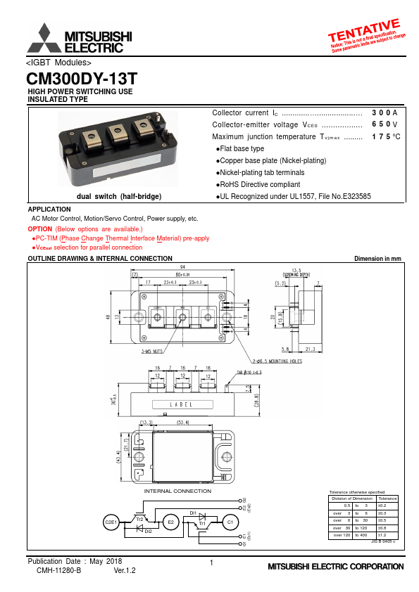 CM300DY-13T