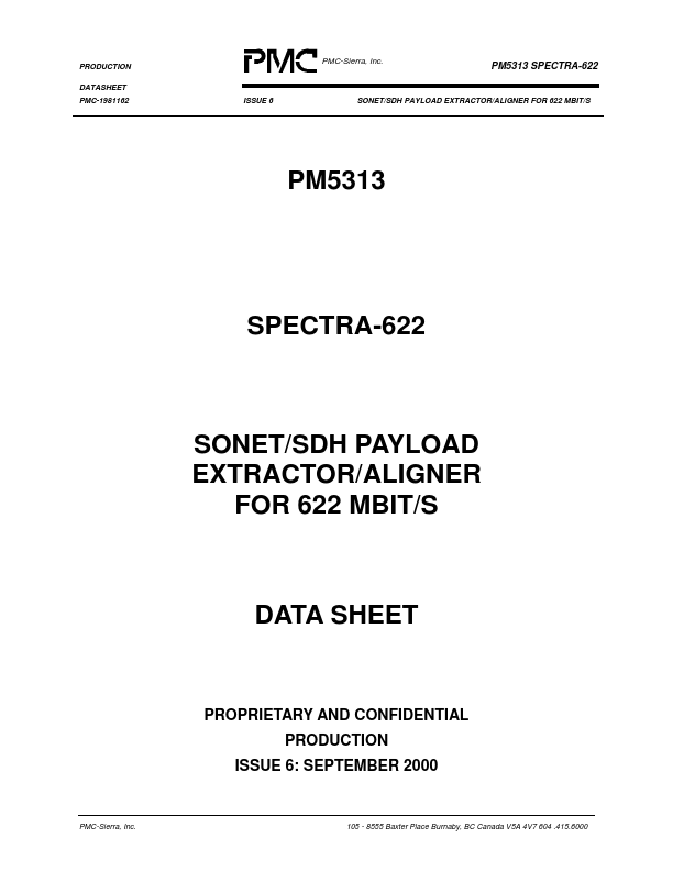 PM5313