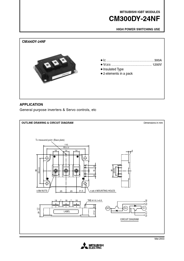 CM300DY-24NF