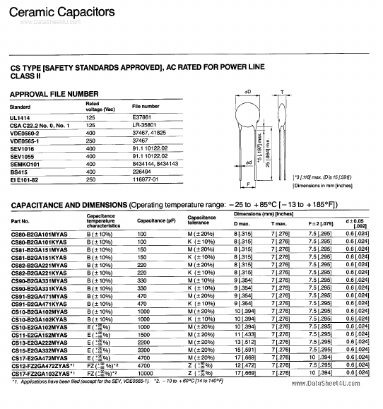 CS10-B2GA102KYAS