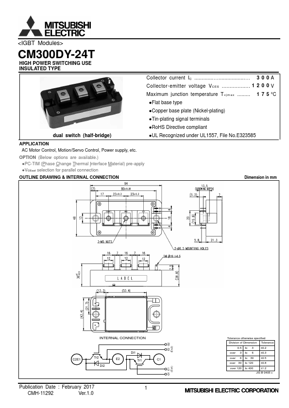 CM300DY-24T